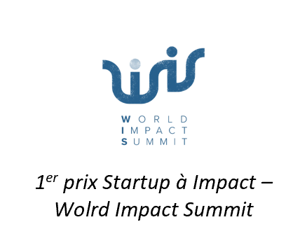 World Impact Submit